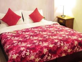 Taitung Spring Time Bed and Breakfast
